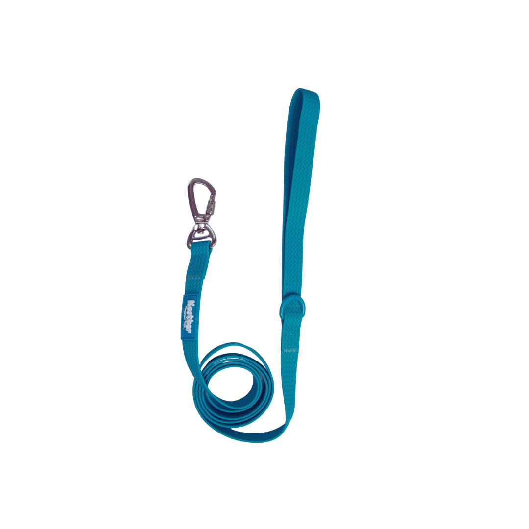 All-Weather PVC Leash