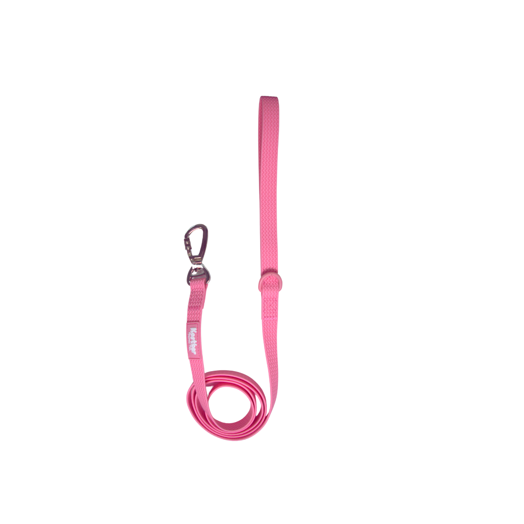 All-Weather PVC Leash
