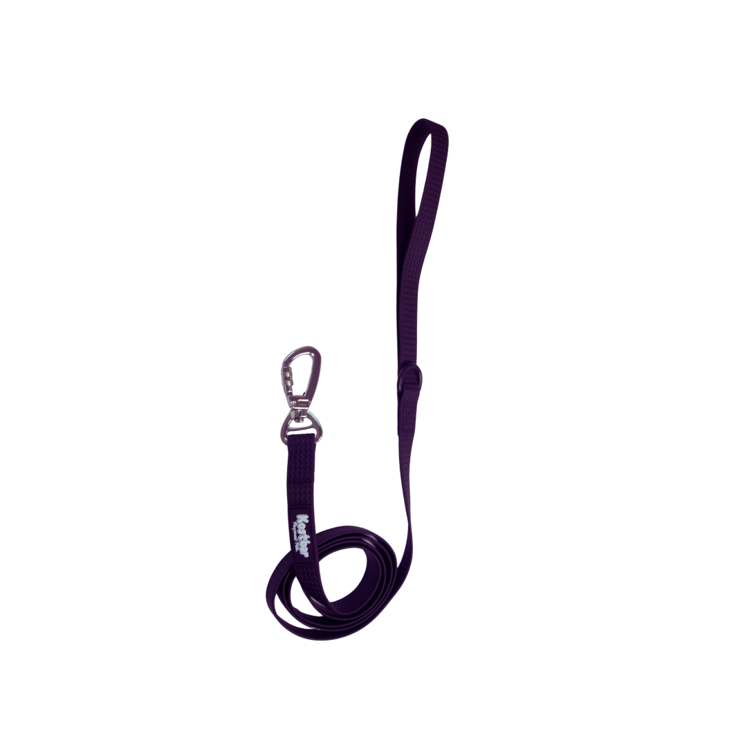 All-Weather PVC Leash