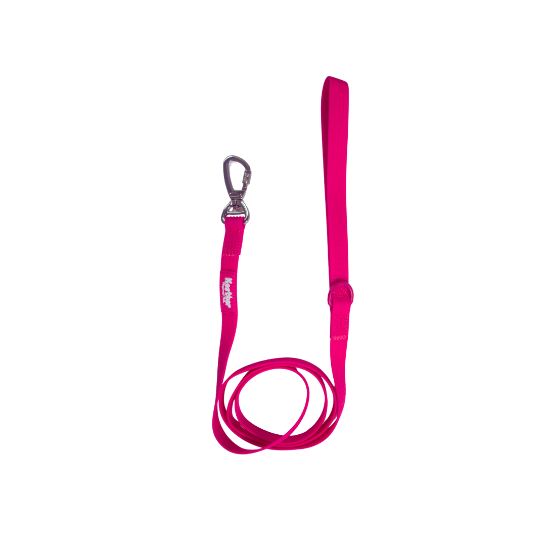 All-Weather PVC Leash