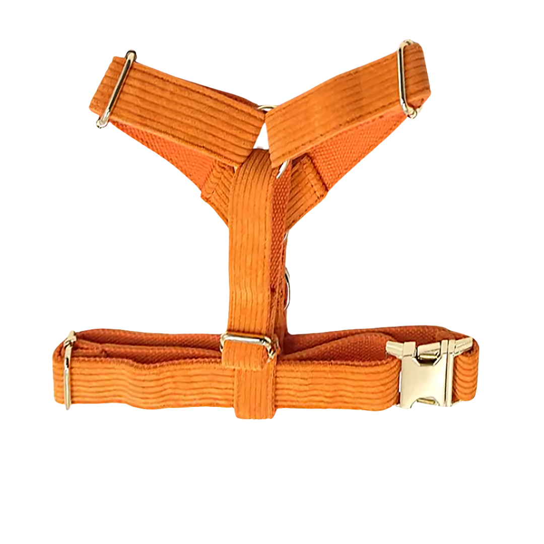 Bright orange corduroy harness, comfortable fit for pets - Kostbar Pet Club