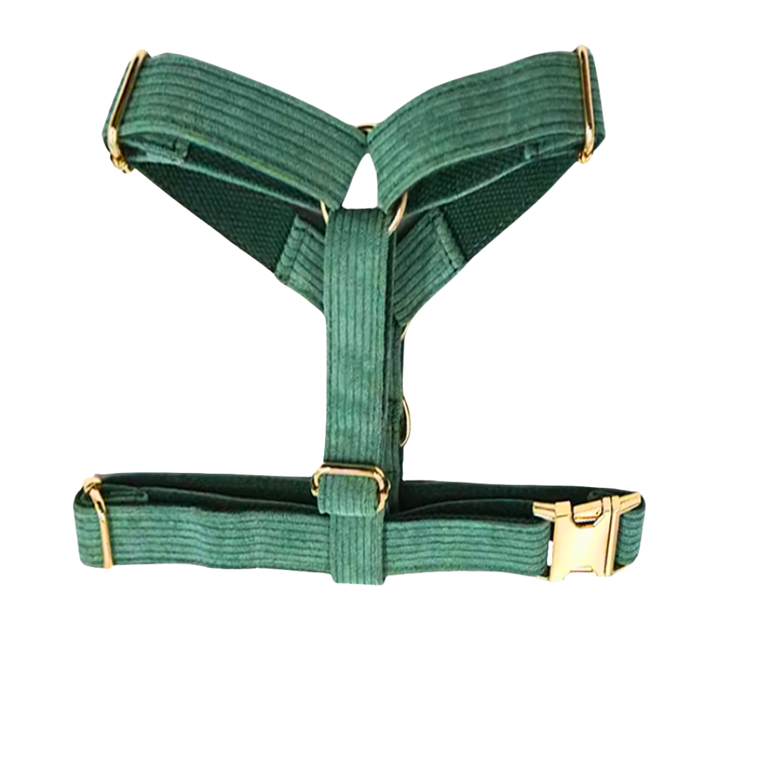 Forest green corduroy harness, fashionable and functional for dogs - Kostbar Pet Club