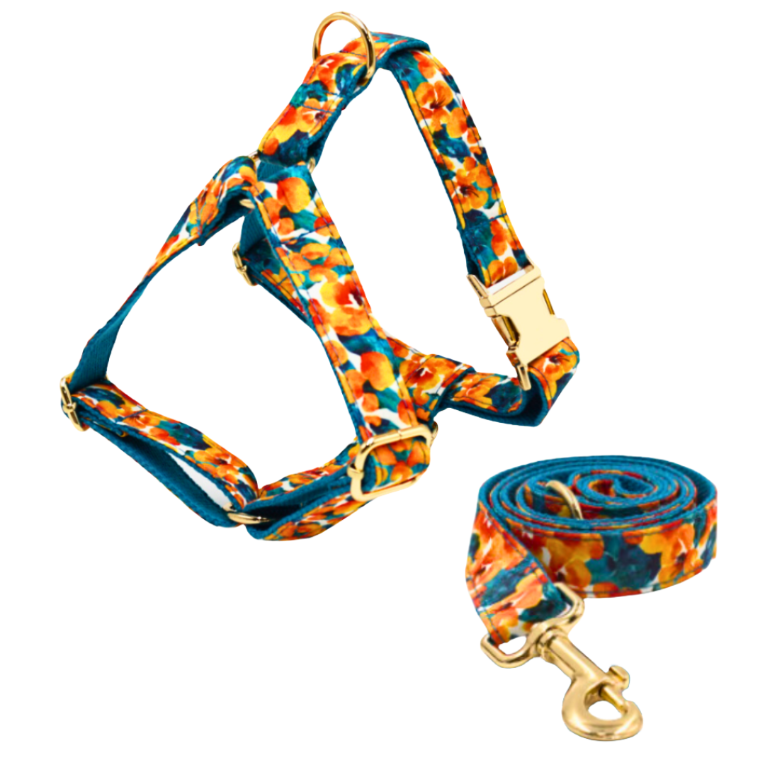 Abstract cotton fabric harness for dogs, lightweight and comfortable pet accessory - Kostbar Pet Club