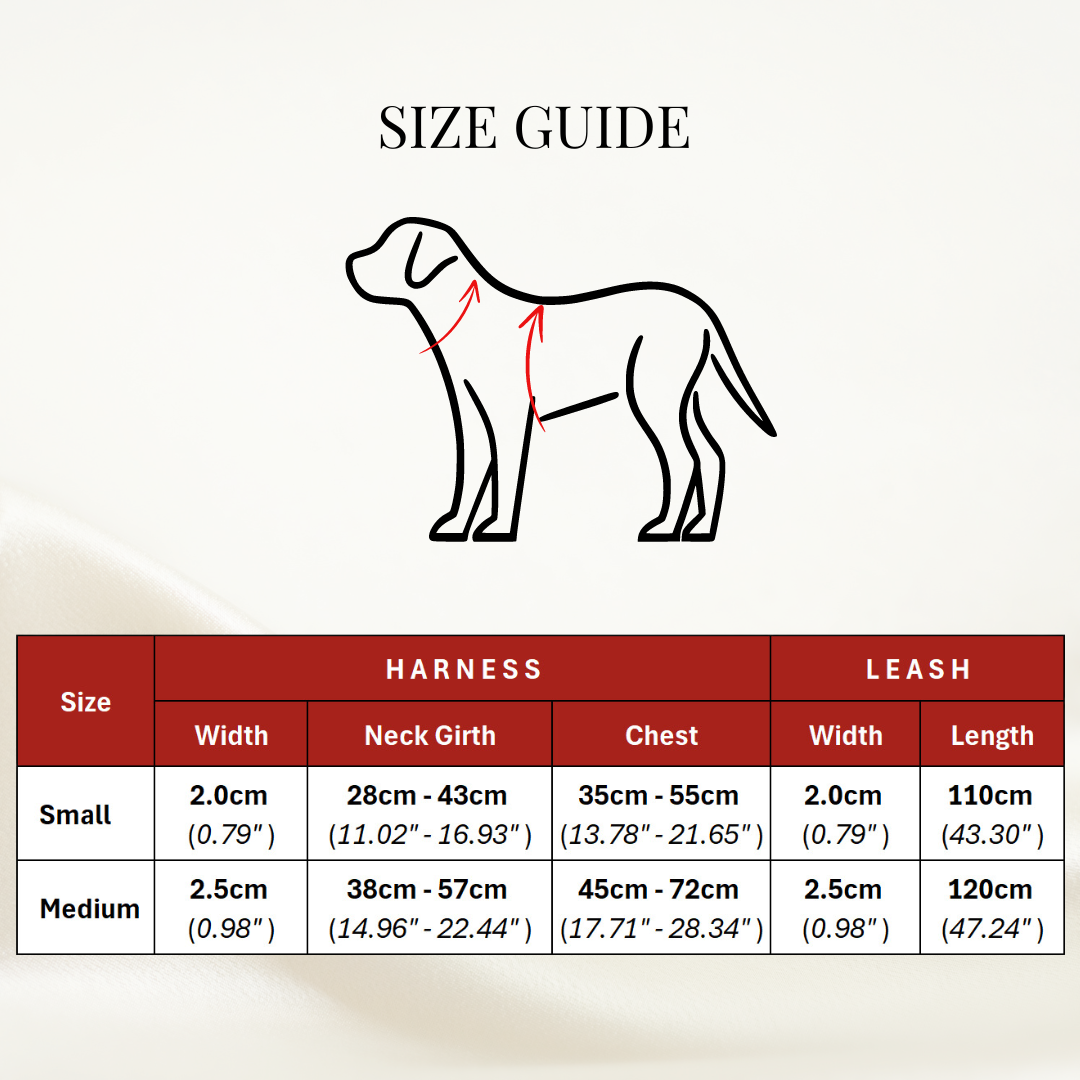 Red corduroy leash, perfect for stylish pet walks - Kostbar Pet Club