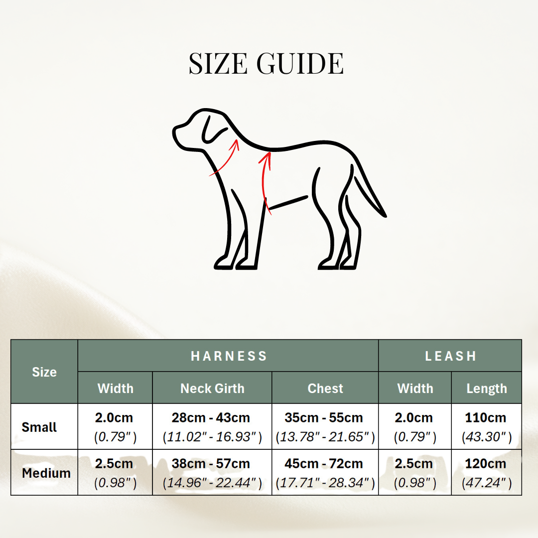 Forest green corduroy harness, fashionable and functional for dogs - Kostbar Pet Club