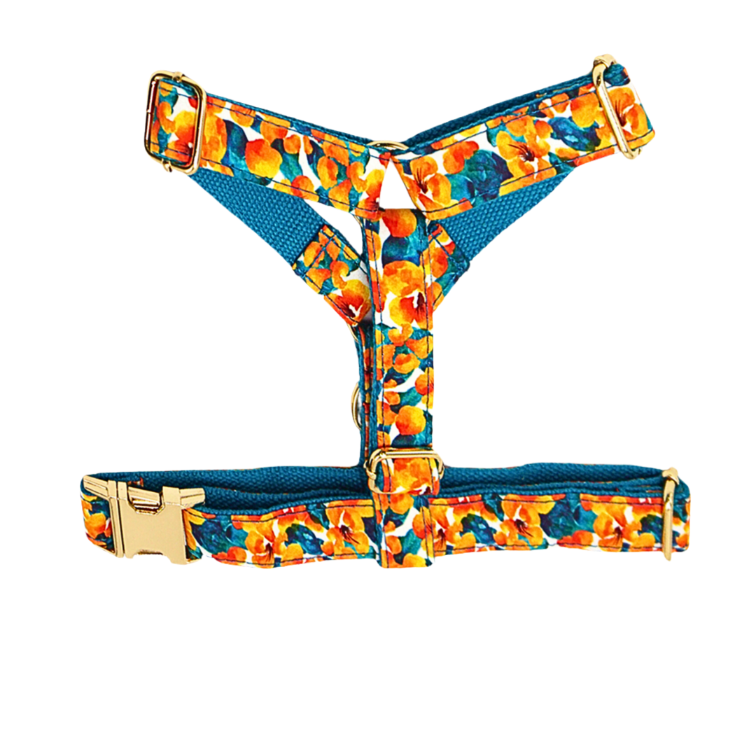 Matching abstract cotton harness & leash set, ideal for fashionable pet outings - Kostbar Pet Club