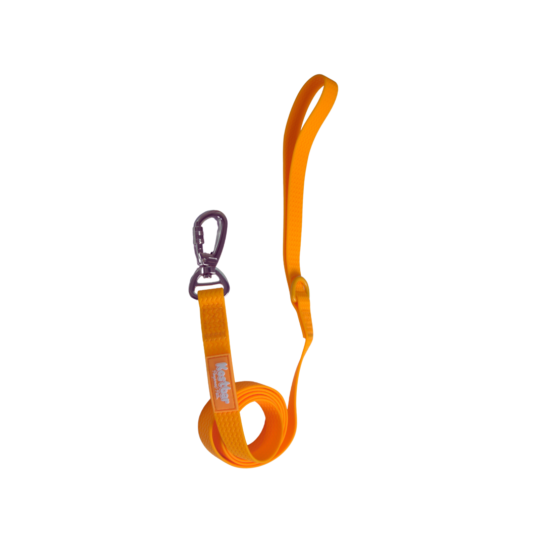 All-Weather PVC Leash