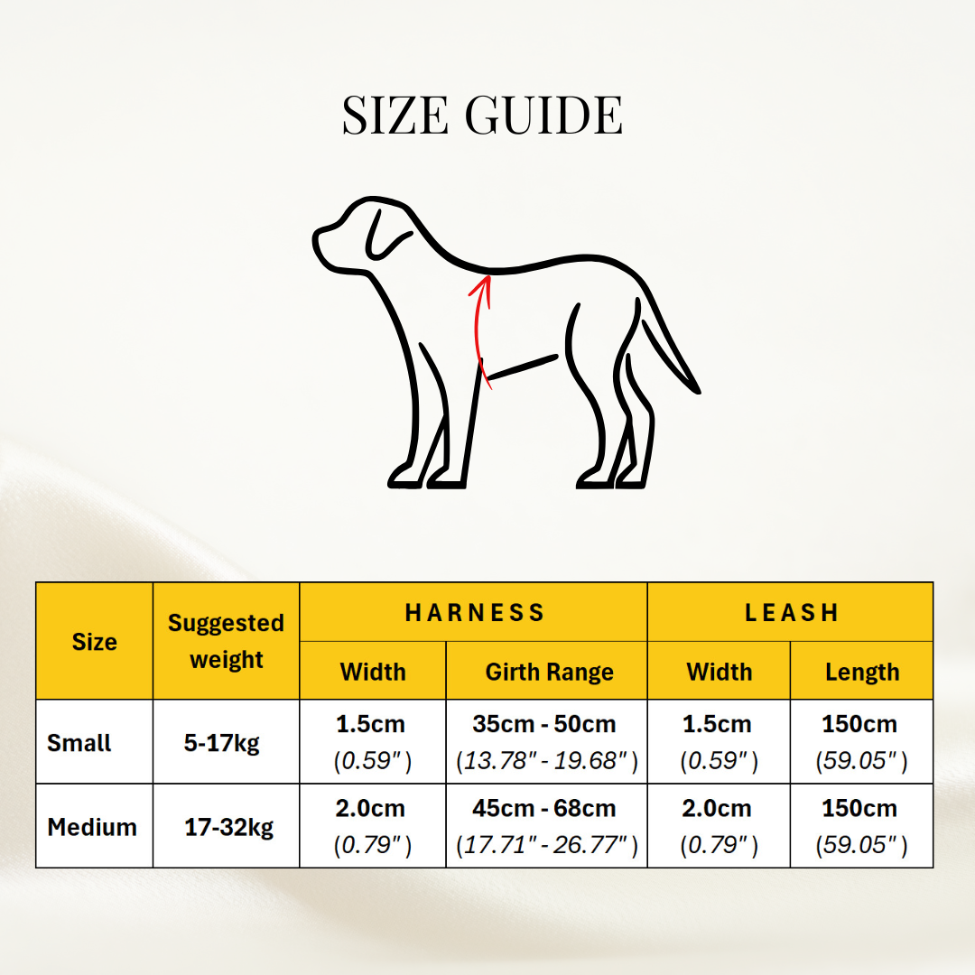 Bee-Happy Step In Harness & Leash Bundle