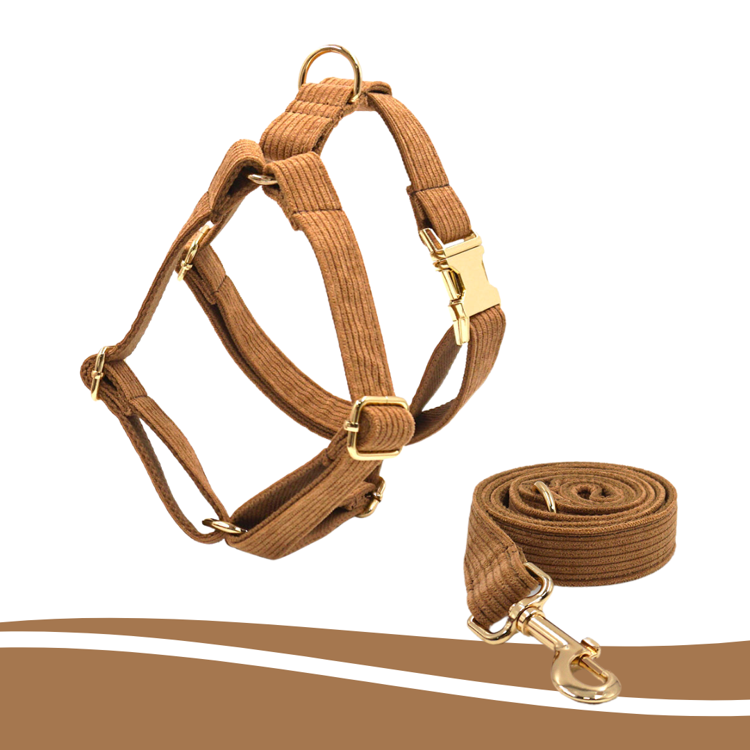 Brown corduroy harness for pets, soft and sturdy design - Kostbar Pet Club
