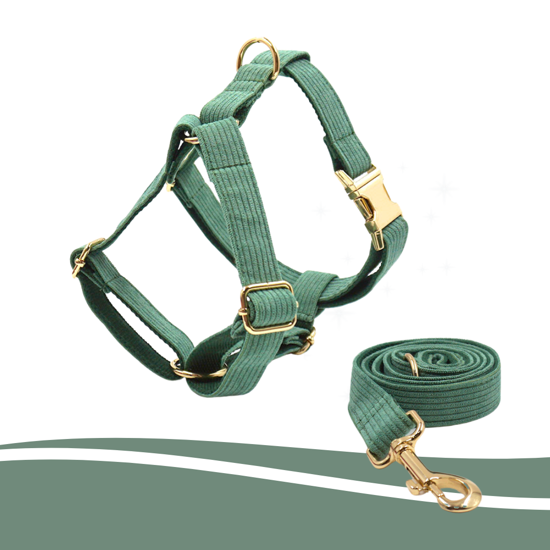 Forest green corduroy harness, fashionable and functional for dogs - Kostbar Pet Club