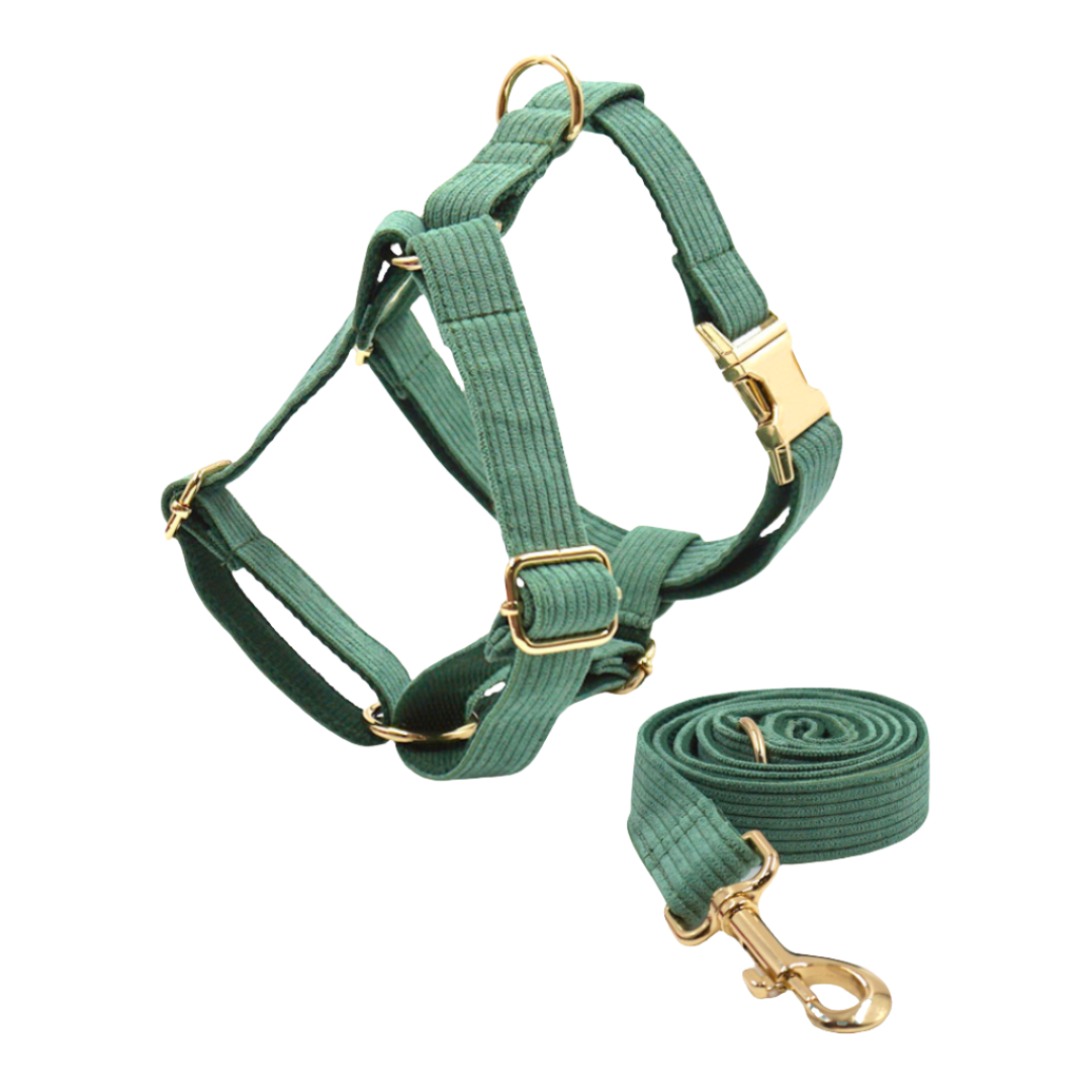 Corduroy (Forest Green) - Kostbar Pet Club