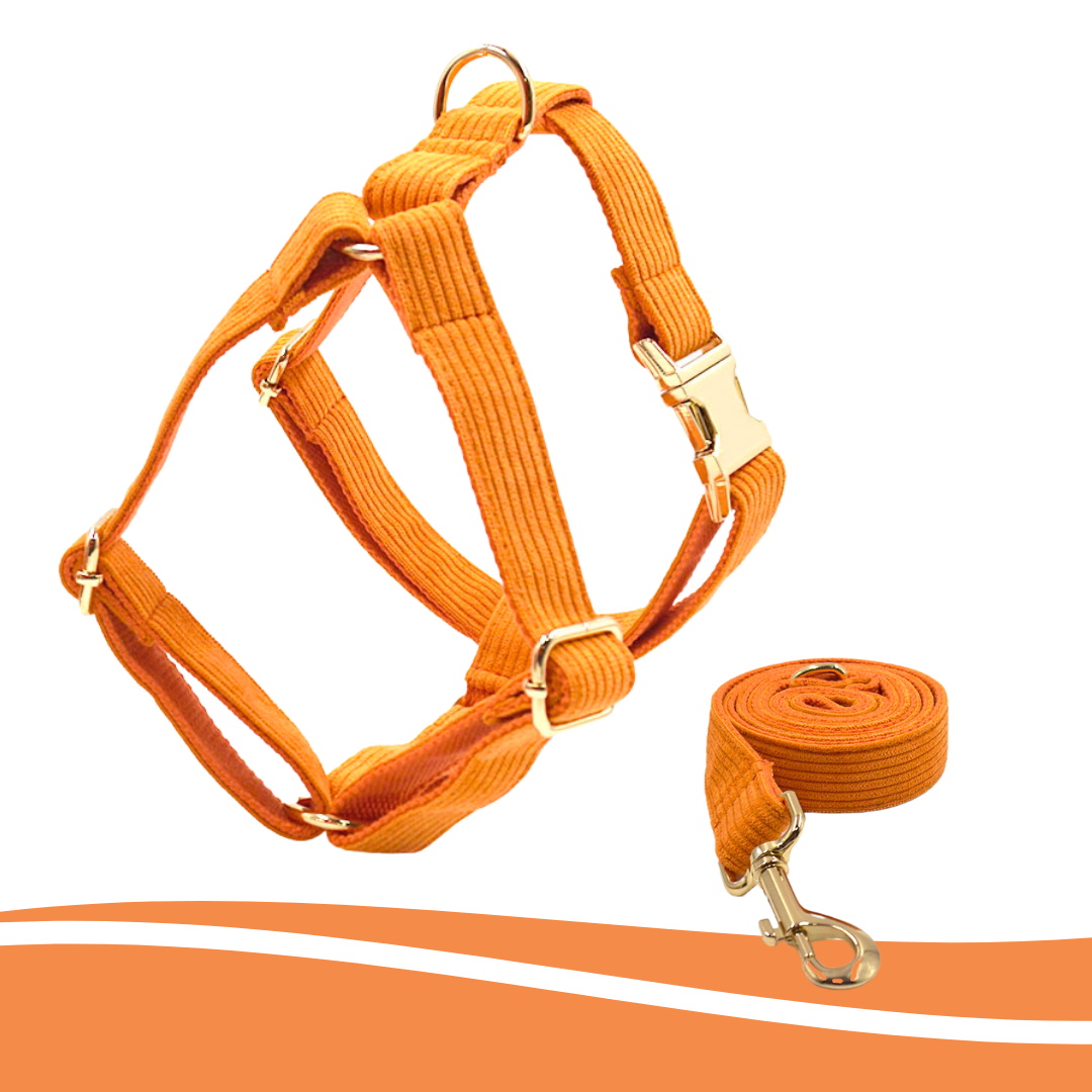 Bright orange corduroy harness, comfortable fit for pets - Kostbar Pet Club
