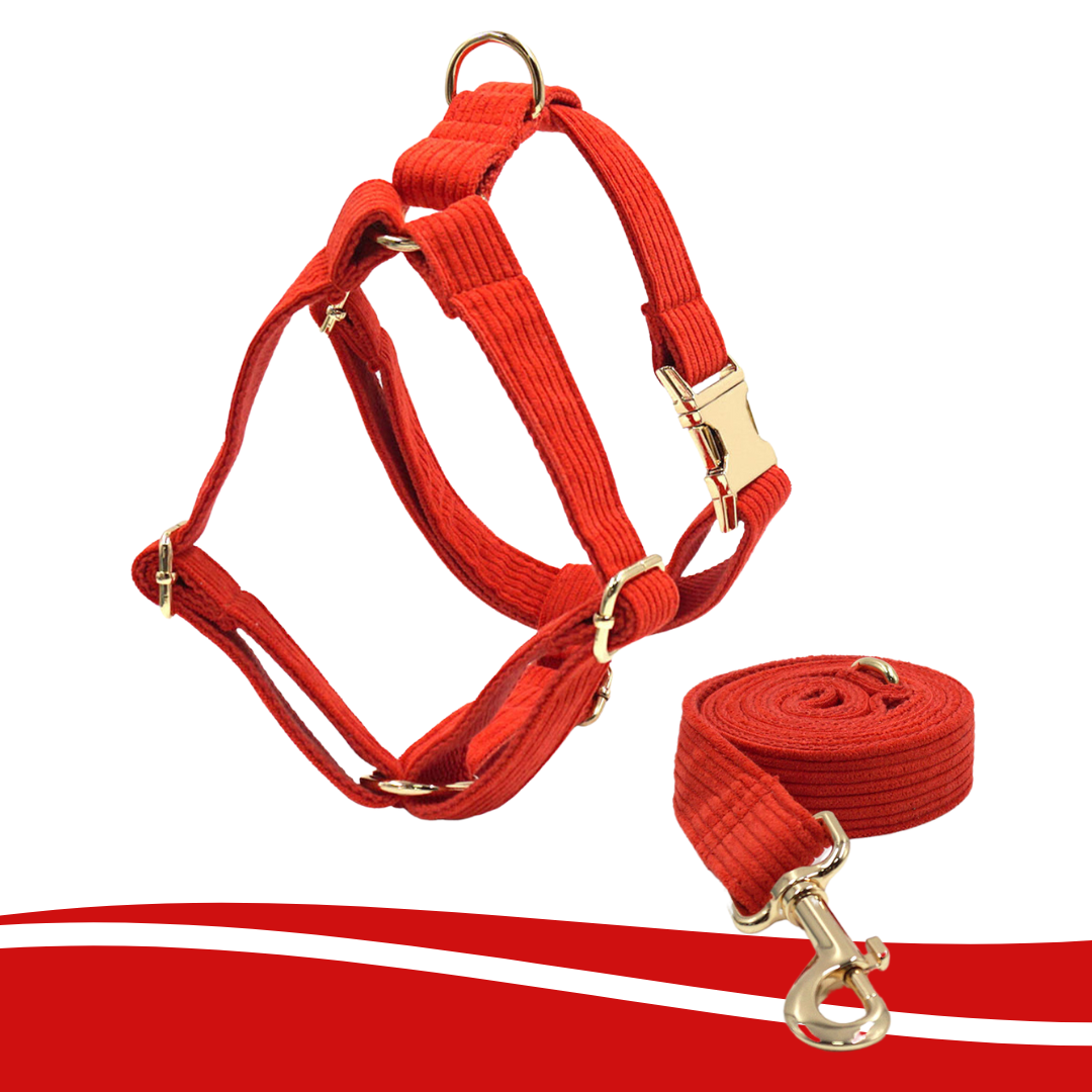 Red corduroy harness for pets, vibrant and durable - Kostbar Pet Club