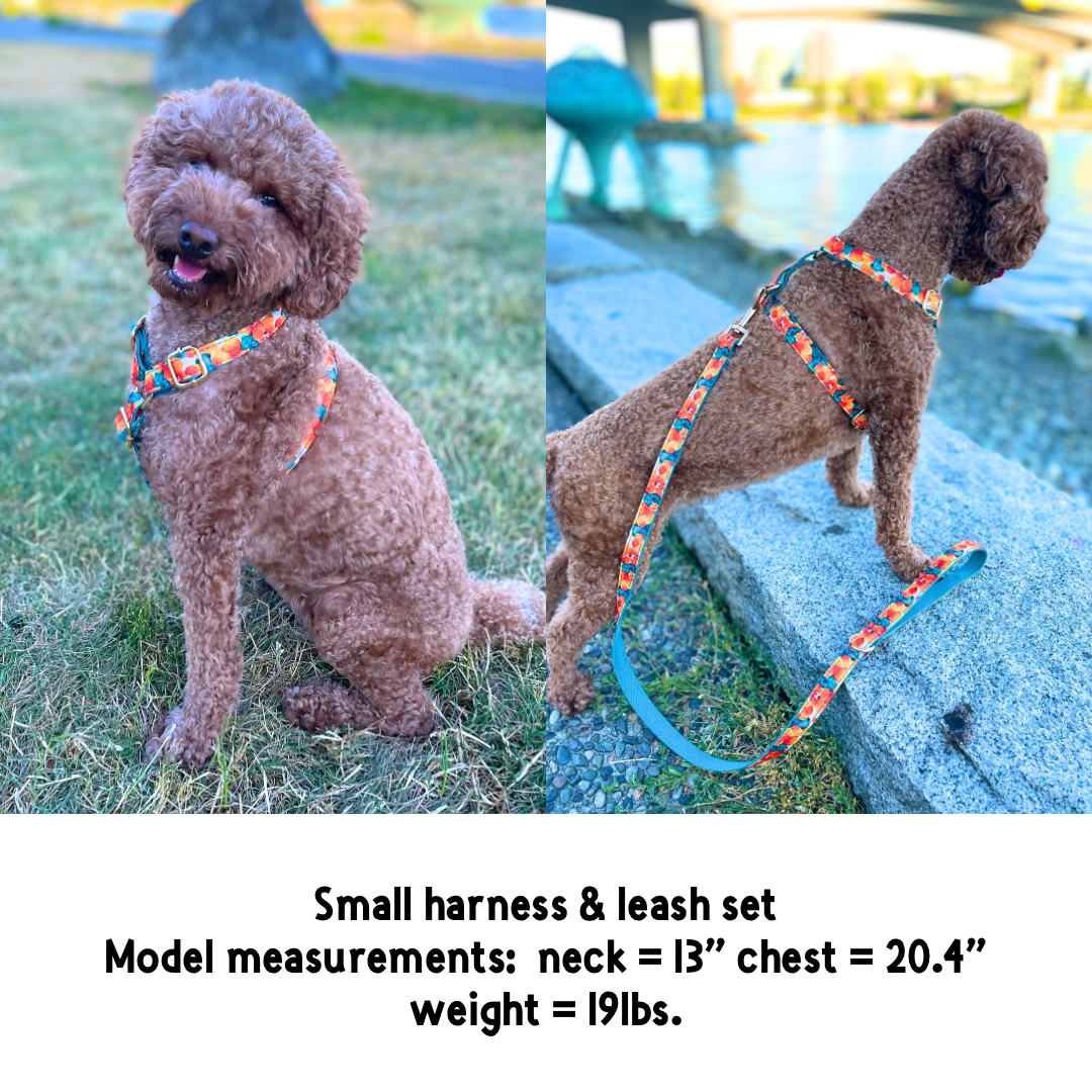 Stylish abstract cotton fabric leash, durable and soft for pet walks - Kostbar Pet Club