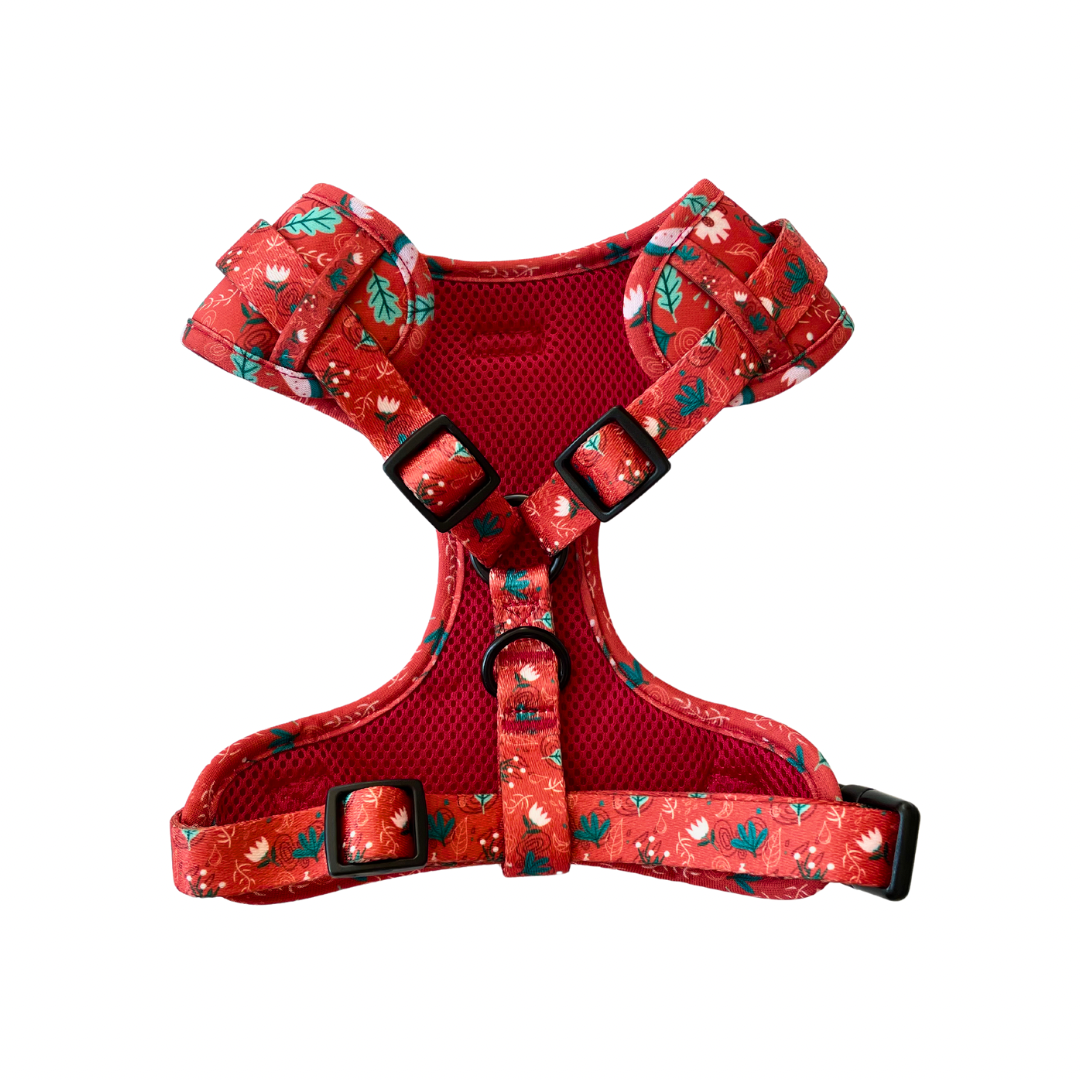 Red Charm Harness & Braided Rope Leash Bundle