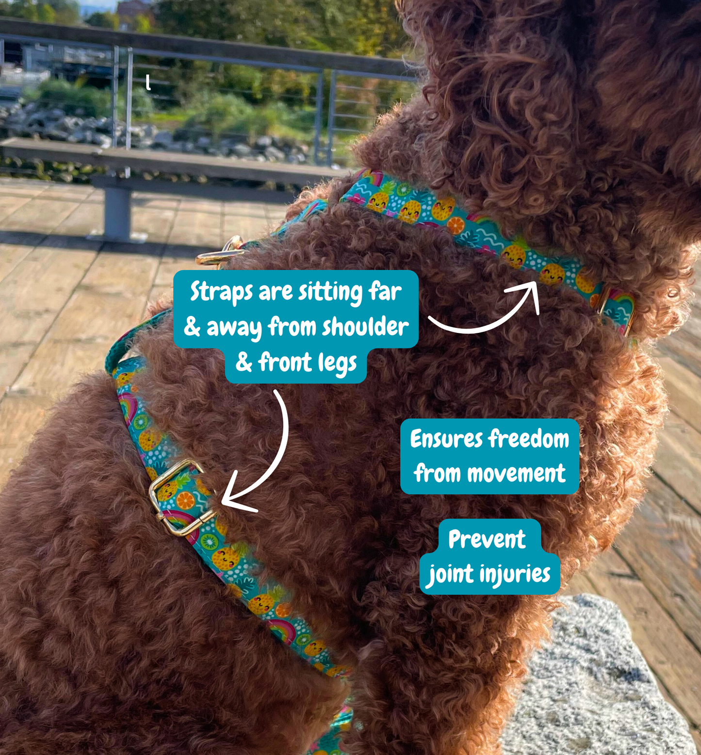Pineapple Bliss Harness & Leash Set
