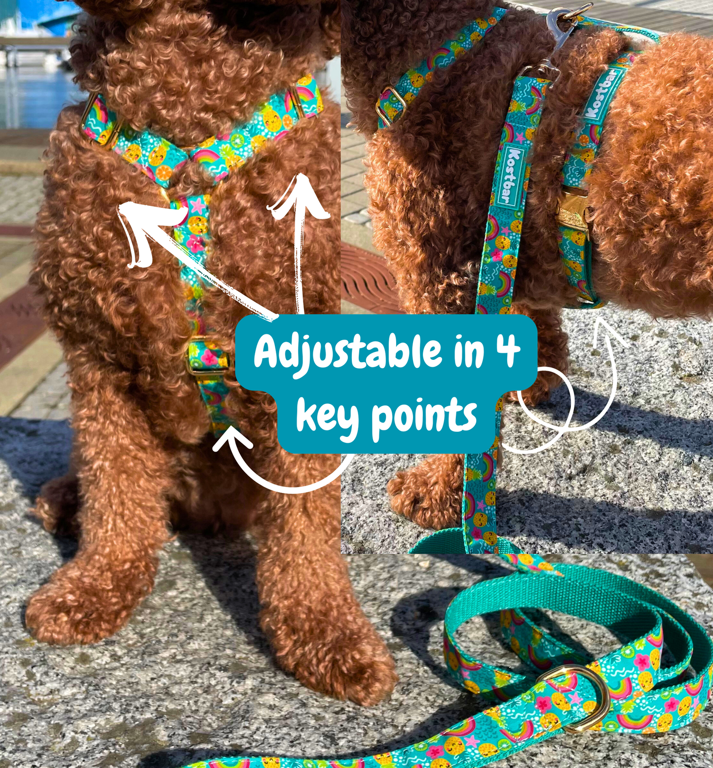 Pineapple Bliss Harness & Leash Set