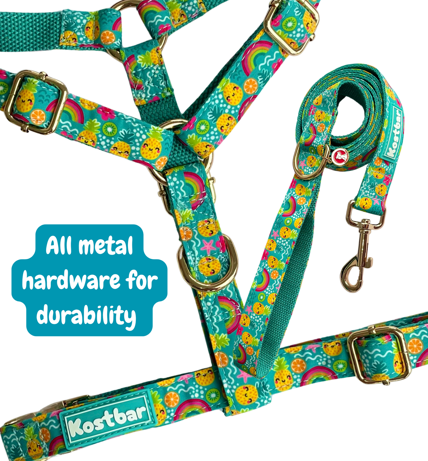 Pineapple Bliss Harness & Leash Set