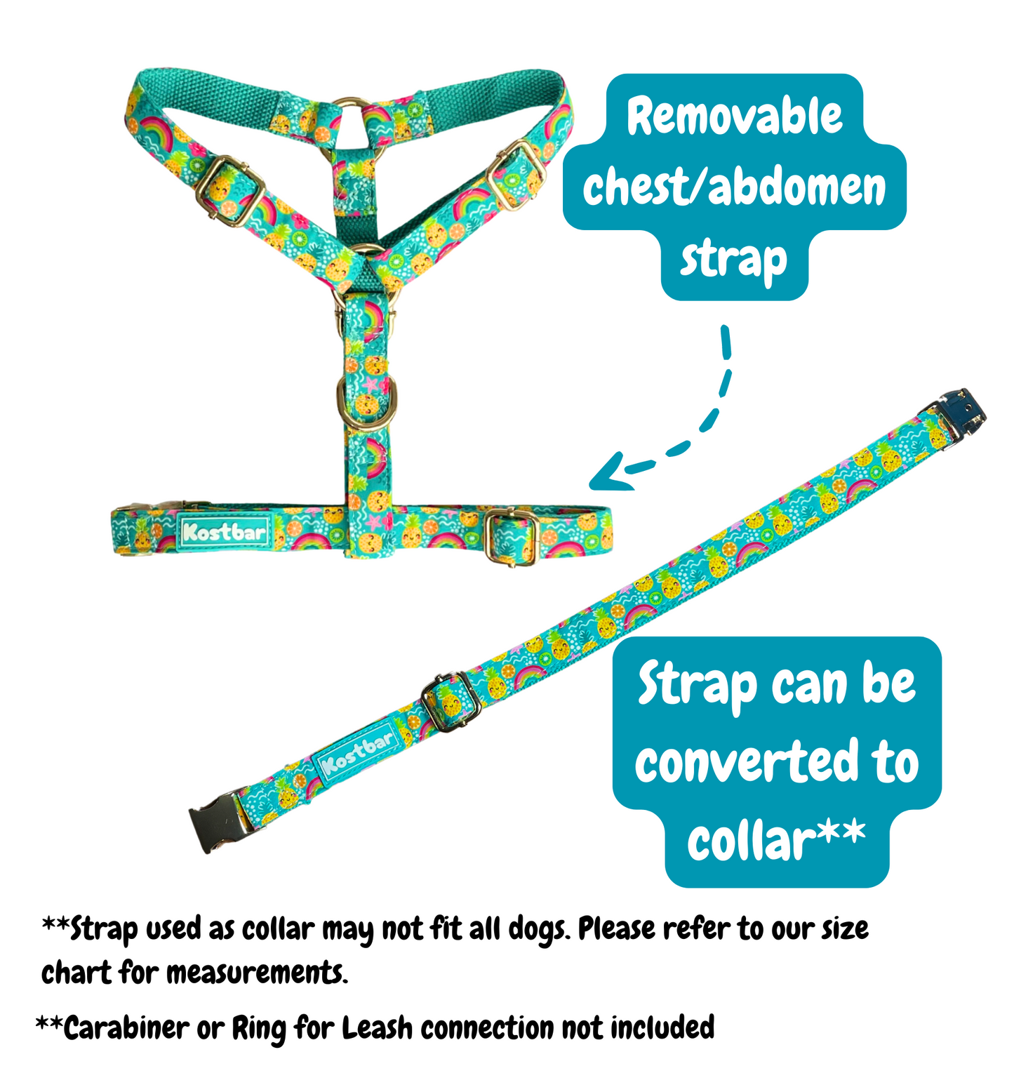 Pineapple Bliss Harness & Leash Set
