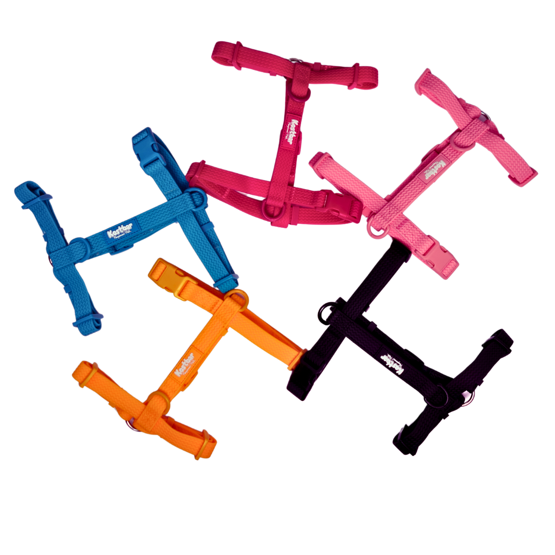 All-Weather PVC Harness