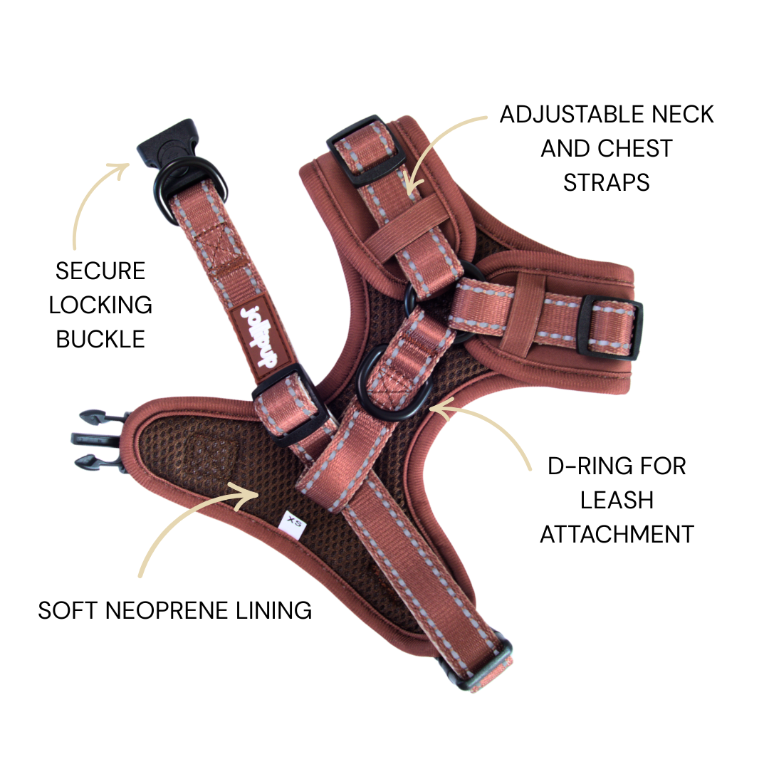 Harco Neoprene 2-in-1 Harness & Collar