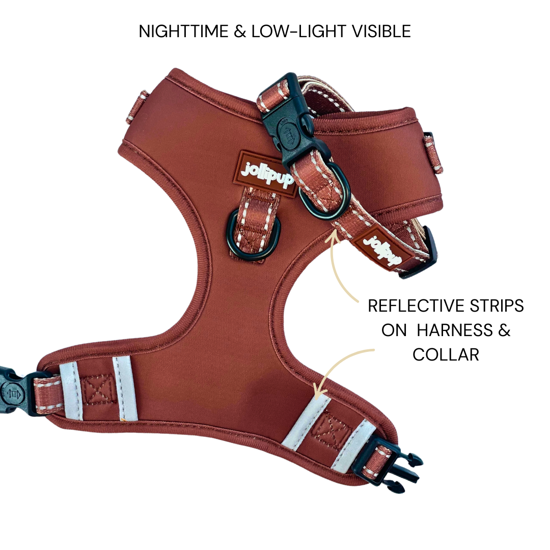 Harco Neoprene 2-in-1 Harness & Collar