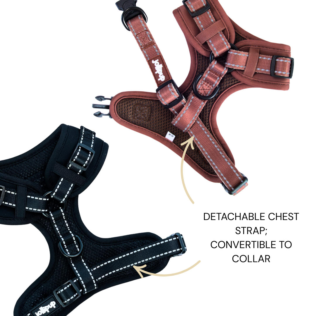 Harco Neoprene 2-in-1 Harness & Collar