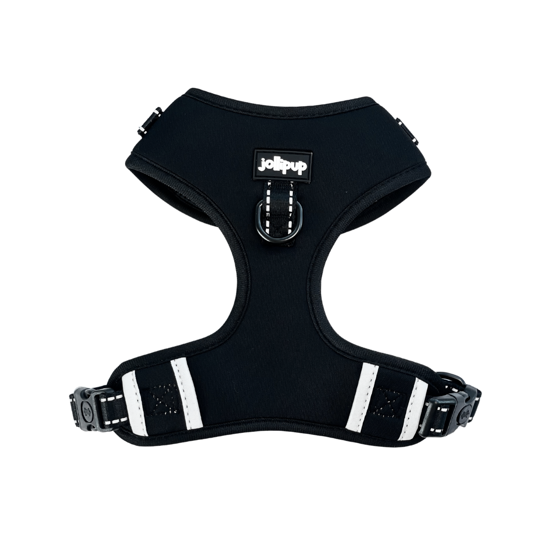 Harco Neoprene 2-in-1 Harness & Collar