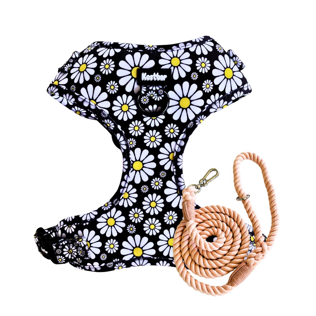 Cutesy Daisy Harness & Braided Rope Leash Bundle