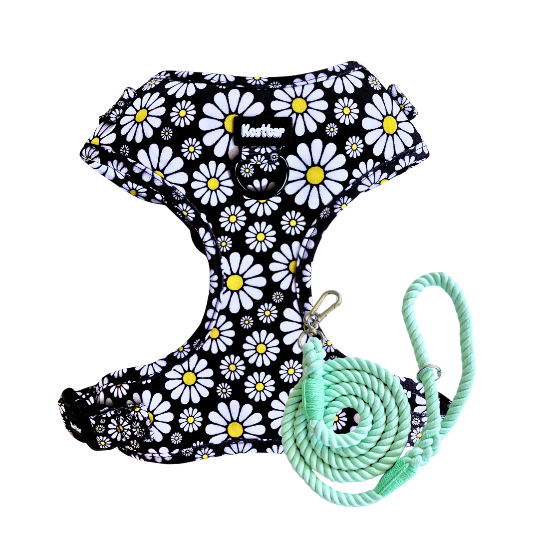 Cutesy Daisy Harness & Braided Rope Leash Bundle