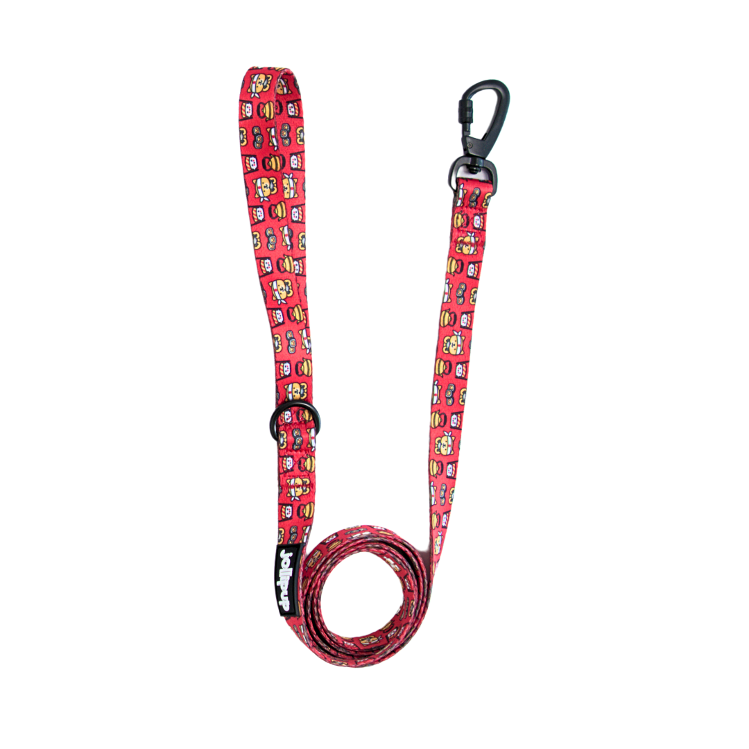 Sushi Chef Polyester Leash, 1.5m/150cm