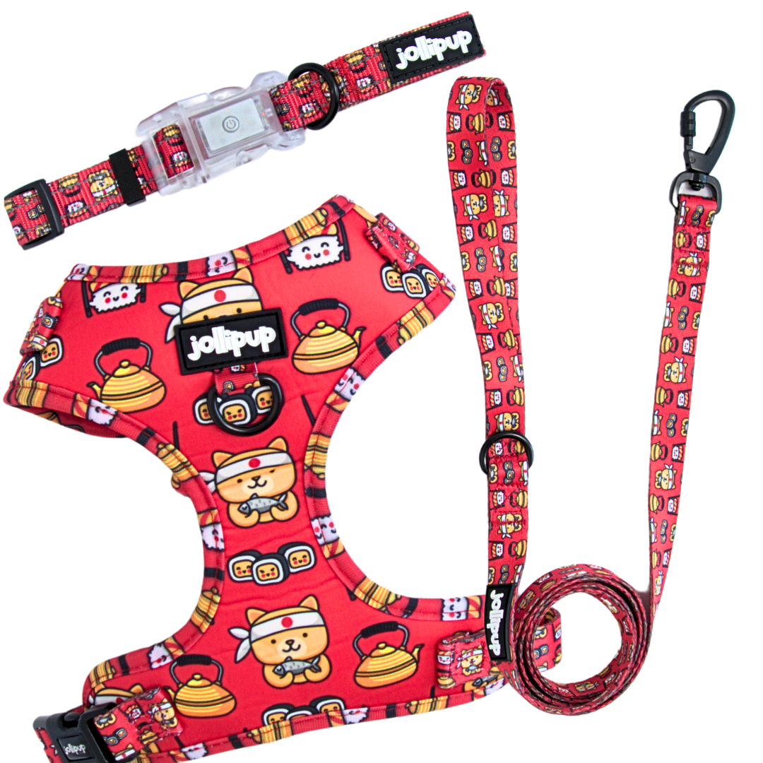 Sushi Chef Polyester Leash, 1.5m/150cm