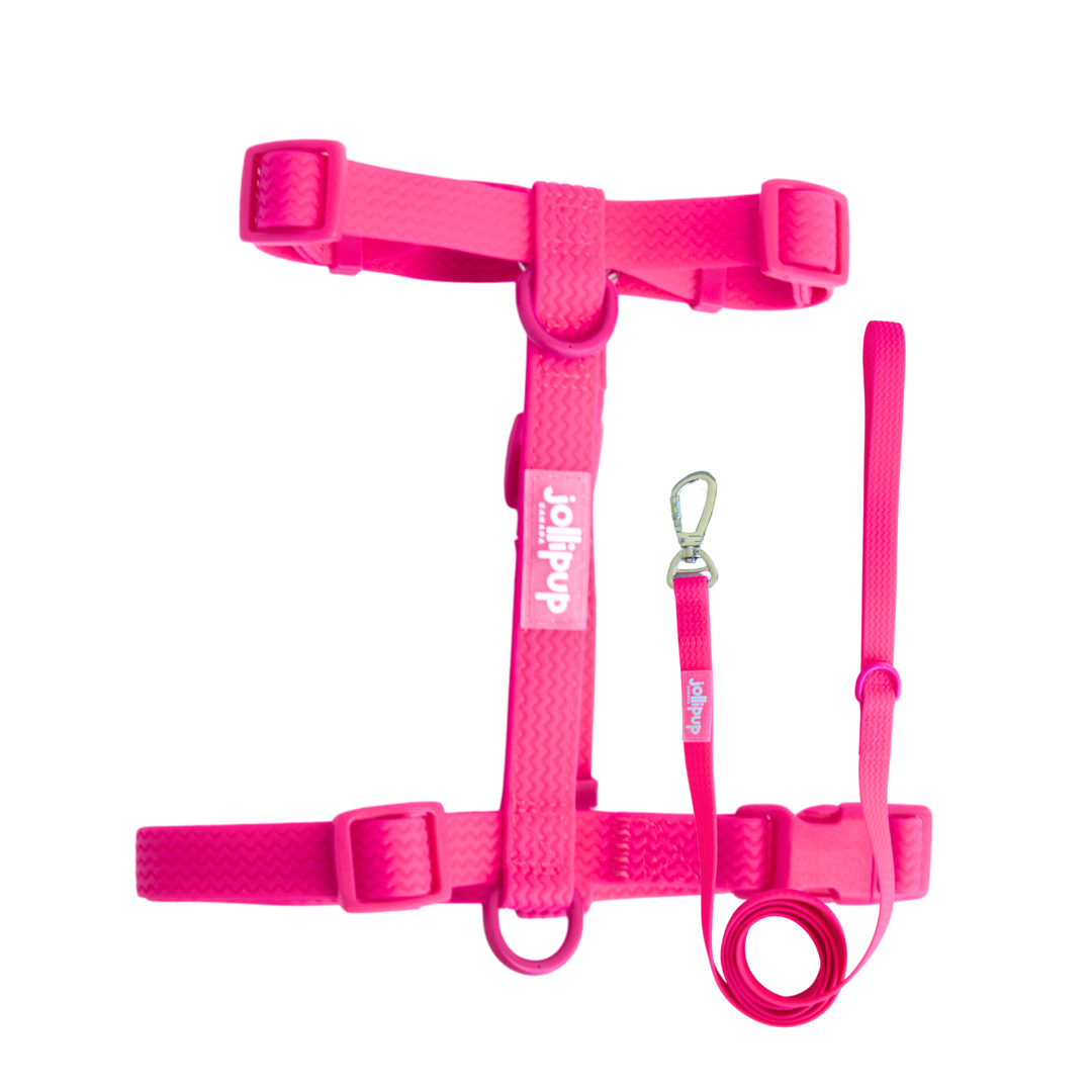 All-Weather PVC Harness & Leash Bundle