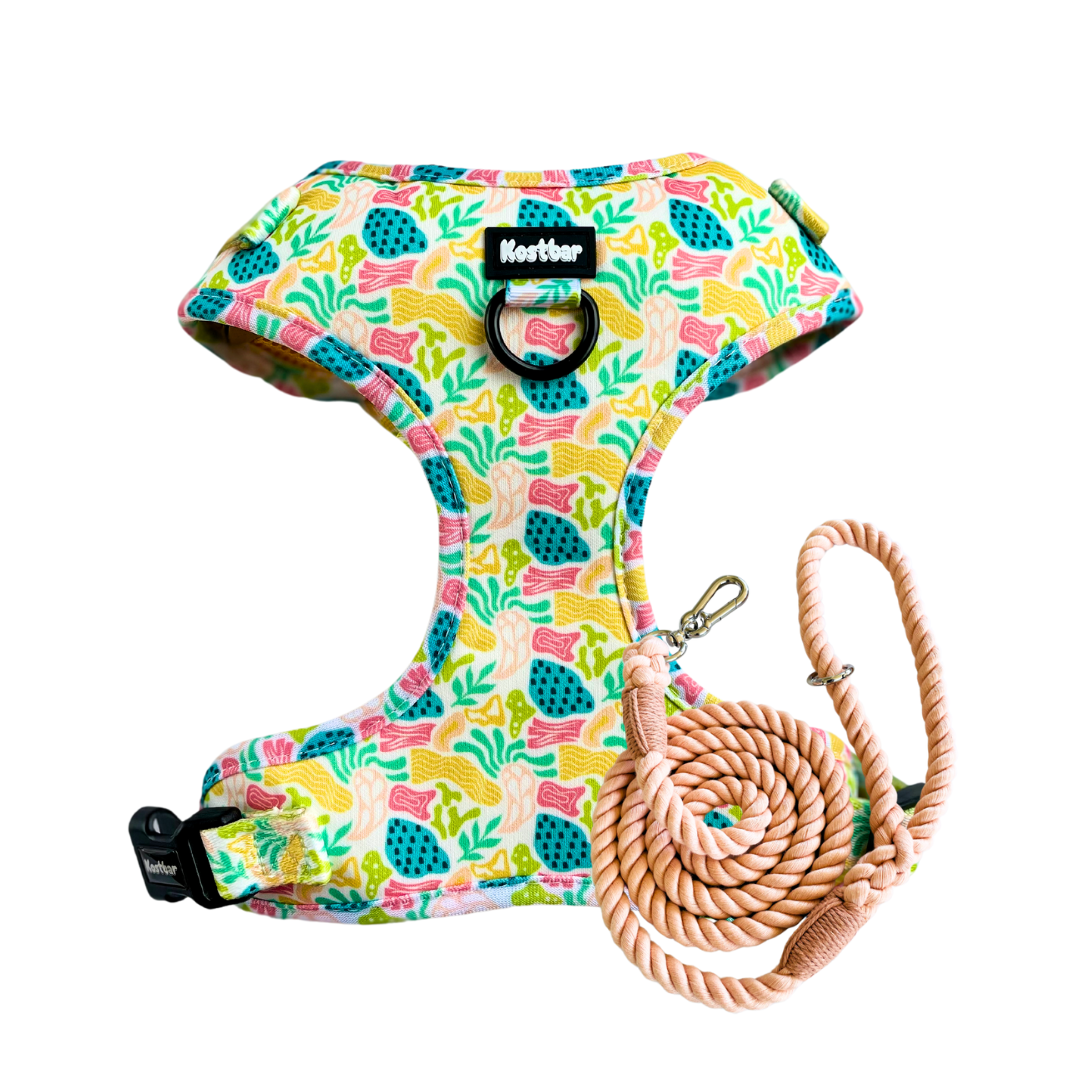 Bubble Gum Harness & Braided Rope Leash Bundle