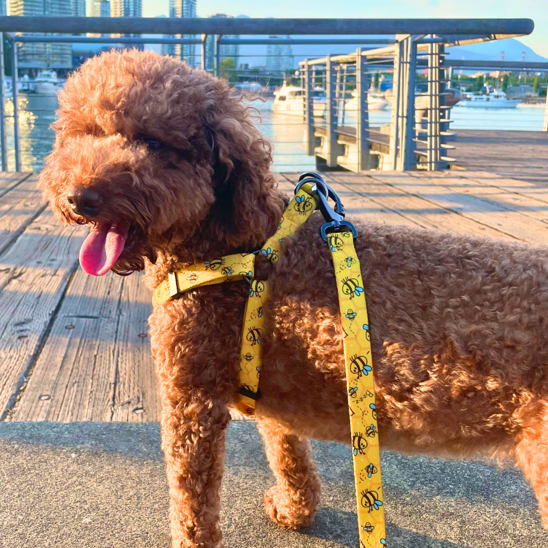 Bee-Happy Polyester Step-in Harness