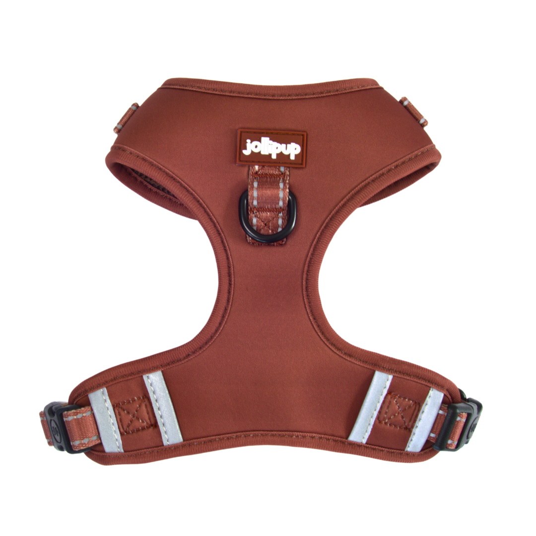 Harco Neoprene 2-in-1 Harness & Collar