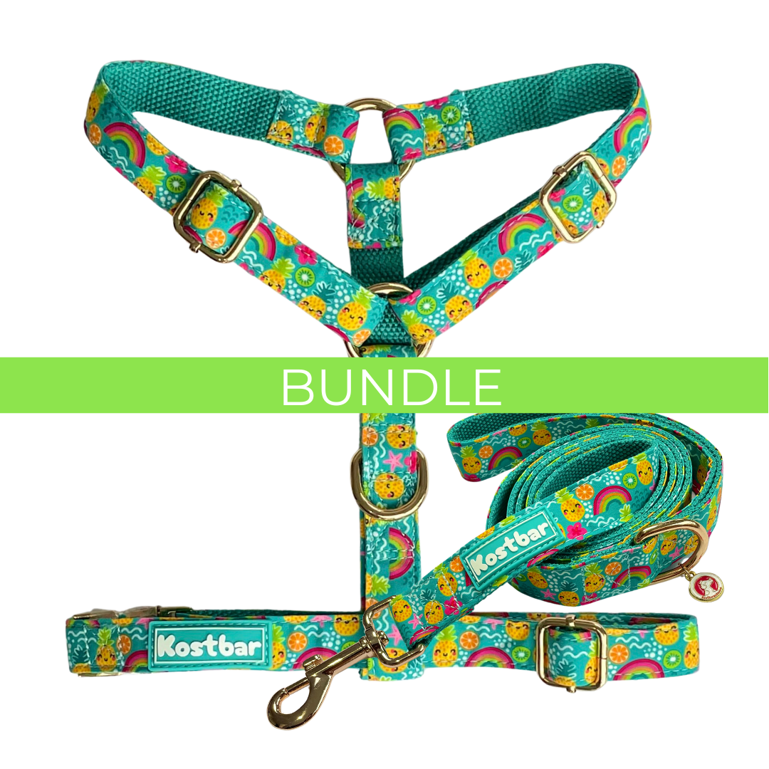 Bundle