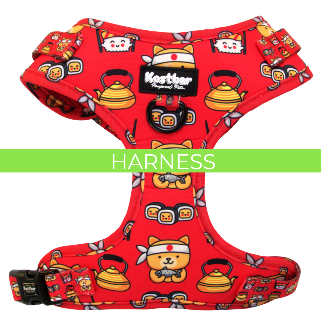 Harness