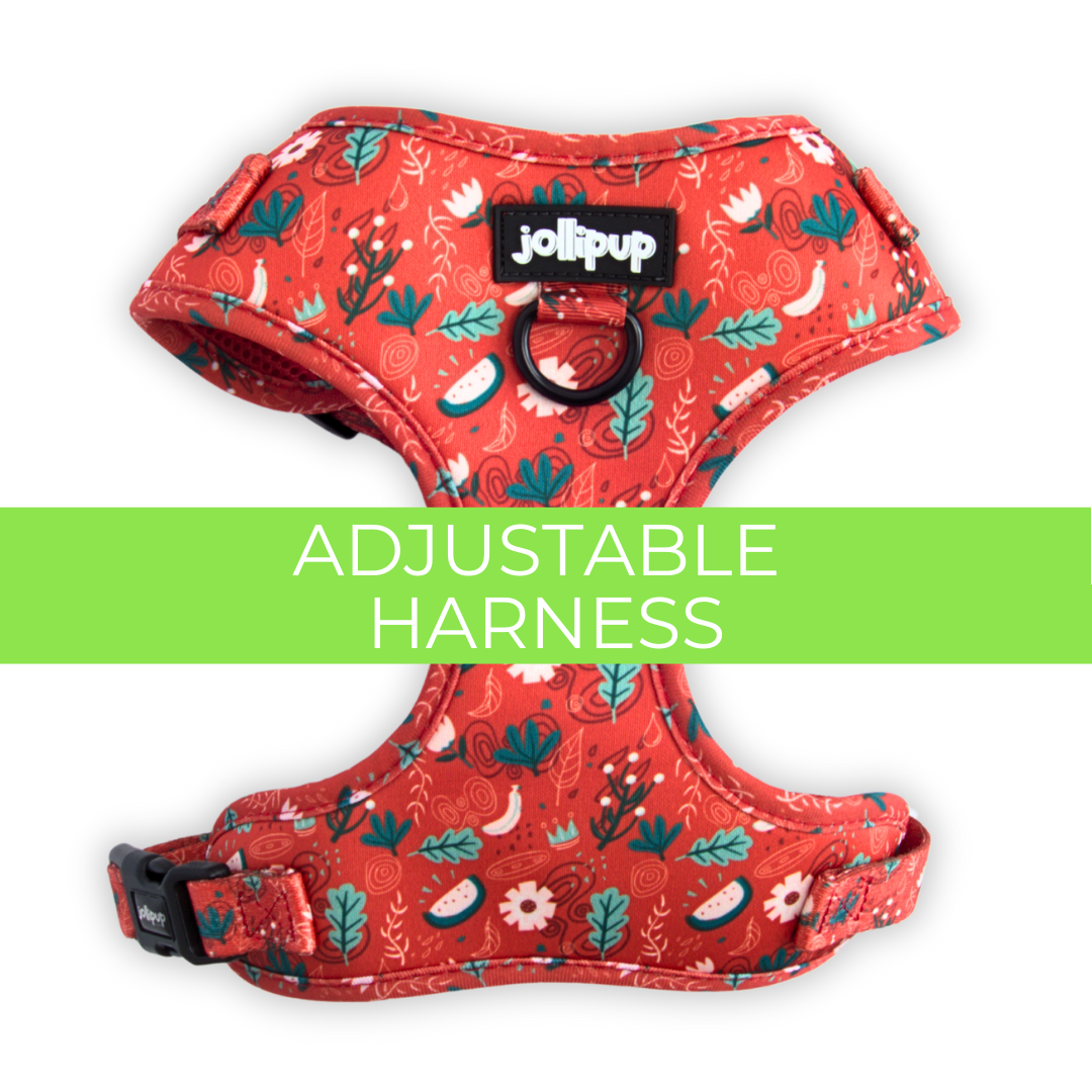 Adjustable Padded Harness