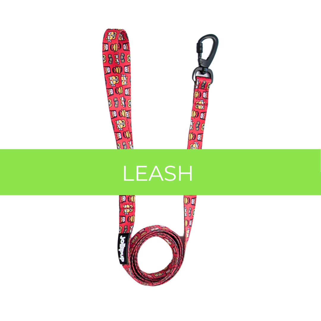 Leash