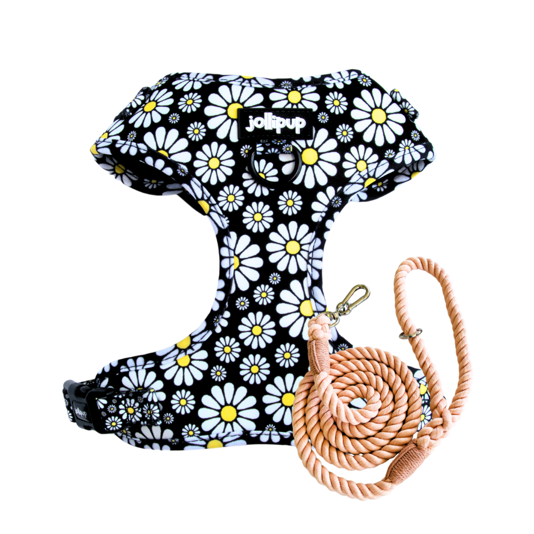 Cutesy Daisy Harness & Braided Rope Leash Bundle