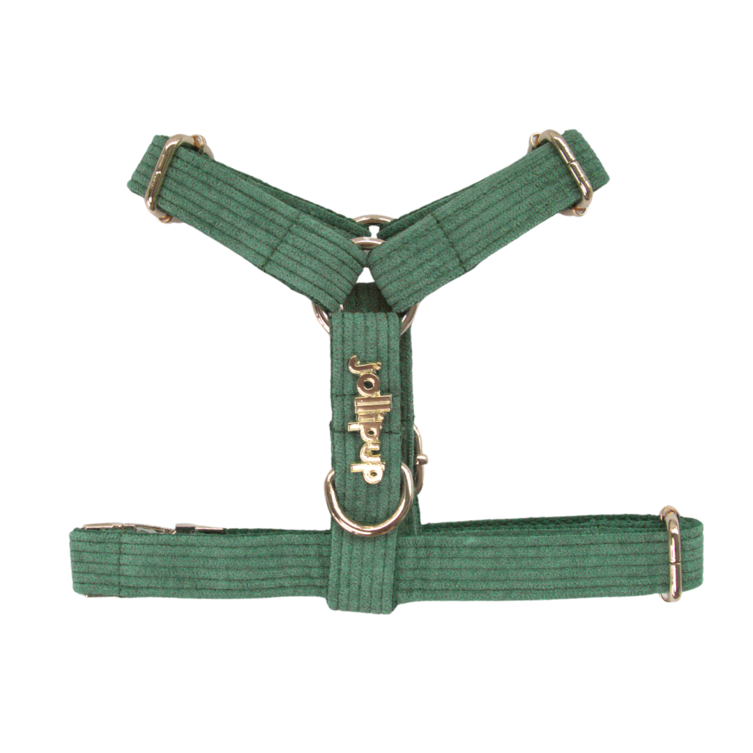 Corduroy (Forest Green) Harness