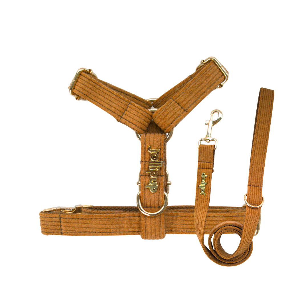 Corduroy (Brown) Leash