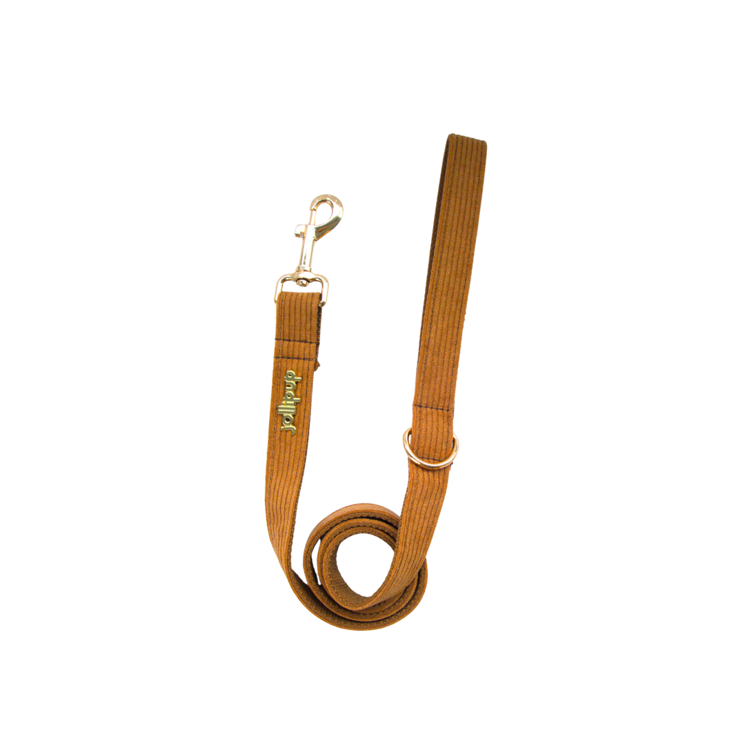 Corduroy (Brown) Leash