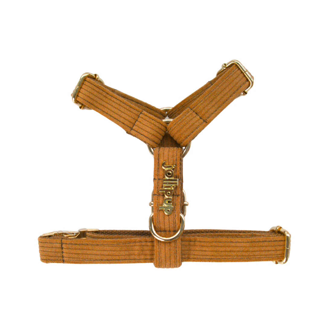 Corduroy Harness & Leash Bundle (Brown)