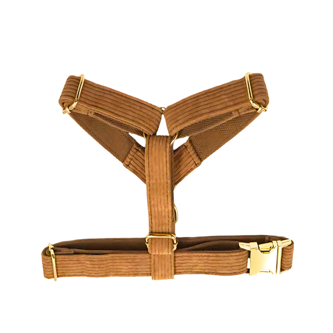 Corduroy Harness & Leash Bundle (Brown)