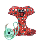 Red Charm Harness & Braided Rope Leash Bundle