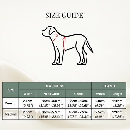 Forest green corduroy harness, fashionable and functional for dogs - Kostbar Pet Club

