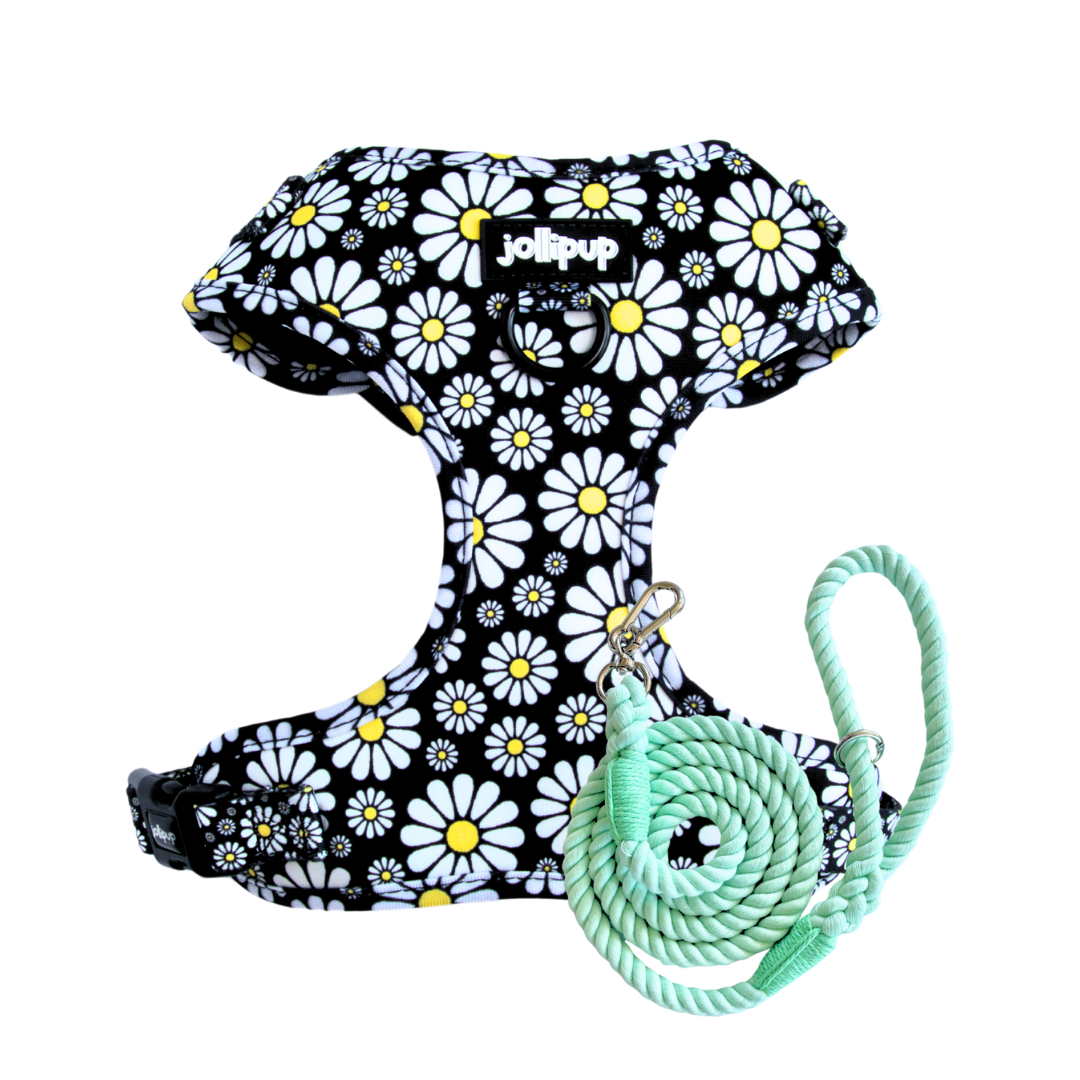 Cutesy Daisy Harness & Braided Rope Leash Bundle