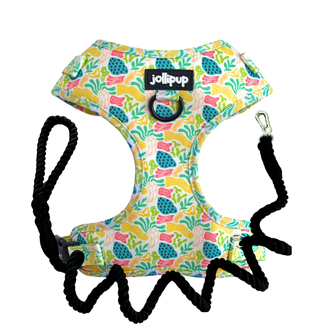 Oceana Harness & Braided Rope Leash Bundle